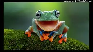 (FREE) frog type beat