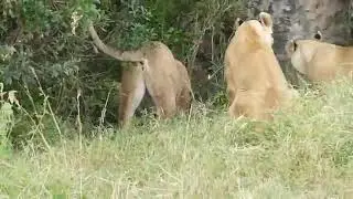 SUB HELP  protecting sub users fighting the bad sub makers