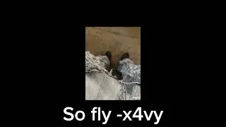 So fly - x4vy (Prod by. Bados x @pesotalk x DaGingerBreadMan)