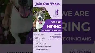 📣We&rsquo;re Hiring!🤩