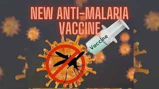 Breakthrough New Anti-Malaria Vaccine