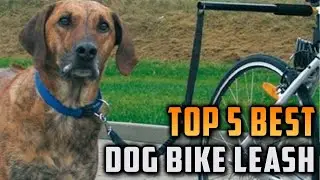 Top 5 Best Dog Bike Leash on On Aliexpress On Amazon