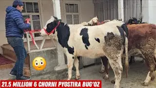 Hamidillo Aka Yangi Ish Boshladi Ishonarli Hunojinlar Eng Qulay Narxlarda 