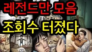 조회수 난리난 쇼츠 모아보기｜감동 동물 사연 몰아보기 | #동물썰 #공감