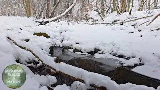 Winter Hike through Snowy Forest | Relaxing Snow Crunch and River Sound