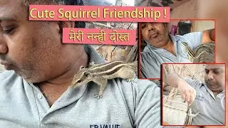 Indian Cute Squirrel Playing With me  | Hand feeding Squirrel | @CuteNatureDiary 