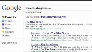The Silva Group Search