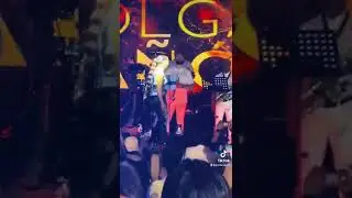 LatinFest Olga Ta&ntilde;on