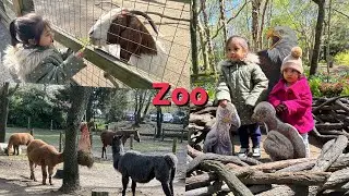 Must visit place in New York || kids learning place|| kids loving place || Queens Zoo