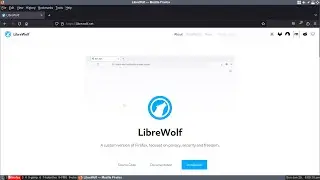 Another Web Browser that Respects Your Privacy