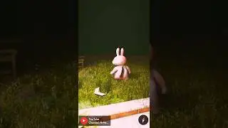 i found  pink rabbit 🐇 on Google Earth and Google maps #shortsfeed #shorts