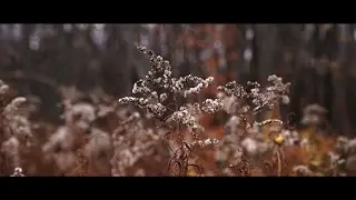 &Eacute;VOLUTION / Production m&eacute;diatique UQAM 2019