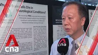 Southeast Asia's first brain bank launched in Singapore