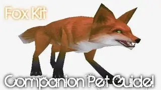 Fox Kit - WoW Companion Pet Guide