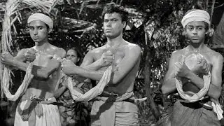 Official Trailer - THE STRANGLERS OF BOMBAY (1959, Guy Rolfe, Terence Fisher, Hammer Films)