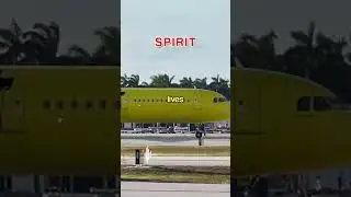 Spirit Pilot Ignores ENDANGERED BIRD 😳