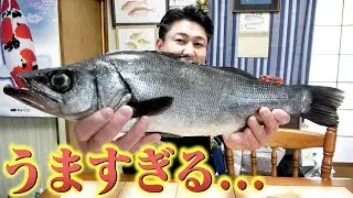 ただのスズキじゃない！高級すぎて滅多に食べられないお魚が感動モノでした！！！