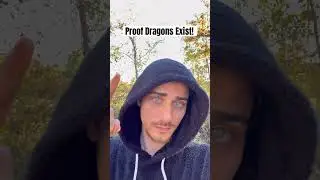 Proof Dragons Exist #dragon #dragons #mythology #caught #real #meme #memes #short #shorts #fantasy