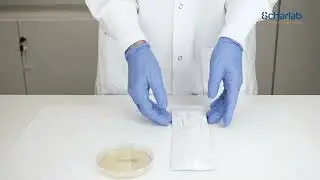 MiStraCon&reg; Swabs2, Scharlau bacterial strains
