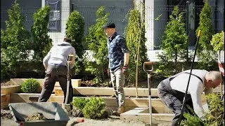 Metamorfoza miejskiego ogrodu odcinek 7. Rośliny cz 3