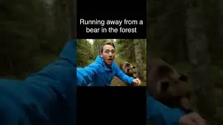 Bear Attack #ai #memes #shortvideo #attack #bearattack #bear #wildlife
