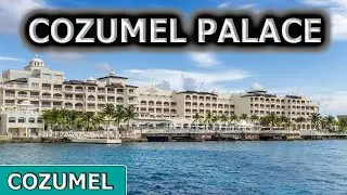 🐟🐟🐟COZUMEL PALACE🐟🐟🐟// www.bioparadise.mx // @LosRamirezDeViaje
