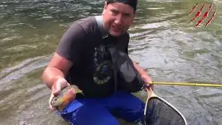 Fly Fishing Central Pennsylvania's Spring Creek - Brown & Rainbow Trout