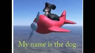 Airplane Dog
