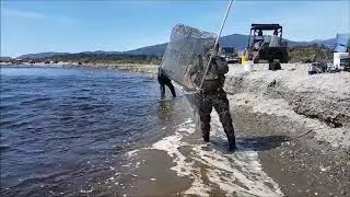 Whitebaiting Waita