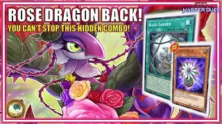Post Banlist Shock: Rose Dragon Glow-Up Bulb INSANE New Combo! | MASTER DUEL