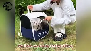 Hongyue focuses on thoughtful pet product design