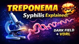 Treponema pallidum (Syphilis) | Microbiology IMPORTANT PYQ I CBDC | FMG &bull; MBBS &bull; AYUSH