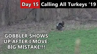 Iowa Gobbler Is Lucky I Moved! - Public Land Hunting - Calling All Turkeys