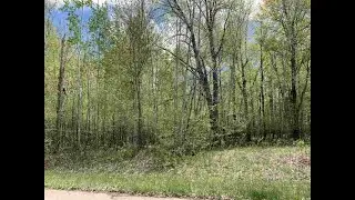 Lot 37 Lime Ridge Rd Shawano, WI 54166 - Vacant land for sale