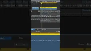 Upbeat Ethnic Drums Instrumental 