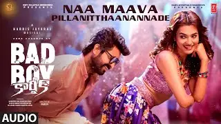 Naa Maava Pillanitthaanannade - Audio | Bad Boy Karthik | Naga Shaurya | Harris Jayraj | Vidhi yadav