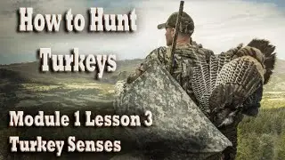 How to Hunt Wild Turkeys Course 1-3 Turkey Senses &ndash; Learn Tips for Success Hunting Gobblers