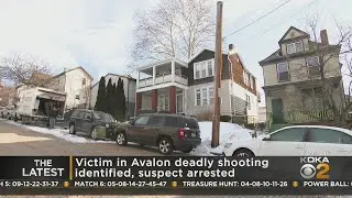 Victim In Avalon Deadly Shooting Identified, Suspect Arrested