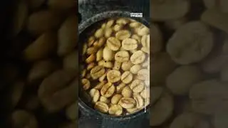 Why Has No One Roasted Coffee Like This Before?