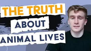 Humans and Animals Share More Than We Think | Macken Murphy Interview