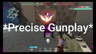 * p r e c i s e  g u n p l a y *