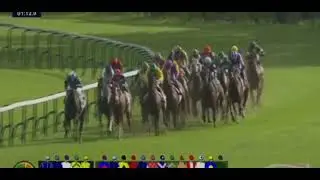 @04:00 LONGCHAMP 2024/09/08 winner (ORANGE VIF) 4to1 💵🤑💵🤑💵🤑