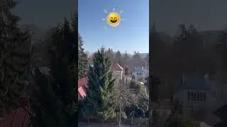 #словакия# морозное# солнечное утро#slovakia#frosty#sunny morning#very beautiful#birds are singing