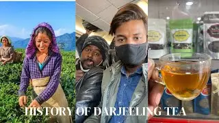 Authentic tea of Darjeeling and history of Darjeeling tea.. Kanchanjanga view from flight...Day 7