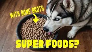 How to Hydrate Dog Food with Chicken Liver Broth