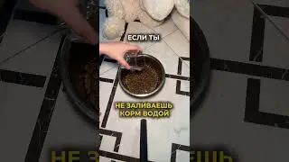 Читай ниже 👇