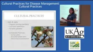 Blueberry Production in Kentucky Part 6-1: Cultural Practices