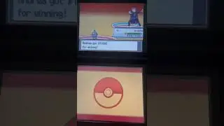 Pok&eacute;mon heartgold lance elite 4