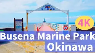 【4K】Busena Marine Park, Okinawa, Japan | ブセナ海中公園（海中展望台）,沖縄