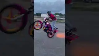 Jamaican Bike Stunter Stripe Stunts